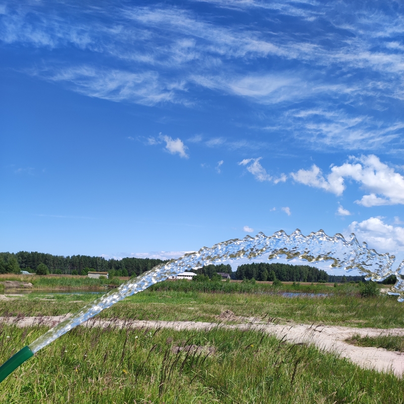 Spices uerīkošanas cena.